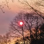 Denise Bartley - @bartley2208 - Instagram