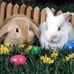 Denise Beals - Facebook