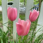 Denise Bernhardt Brackett - @deenyb_brackett - Instagram