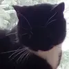 Denise Bertram - @denisebertram79036 - TikTok