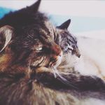 d.beyer 586 - @denise_beyer - Instagram