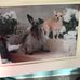Denise Beyer - Facebook