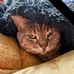 Denise Beyer - Facebook
