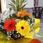 Denise Brunet Bisaillon - Facebook