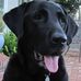 Denise Blocker - Facebook