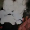 denisebloomfild - @denisebloomfild - TikTok