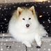 Denise Bolin - Facebook