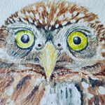 Denise Bonham - @denisehsl_art - Instagram