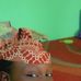 Denise Bonne - Facebook