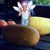 Denise Bonney - Facebook