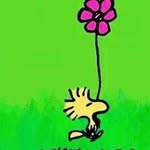Denise Books - @booksdenise - Instagram