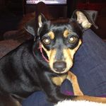 Denise Boothe Bailey - @denise.b.bailey.7 - Instagram