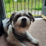Denise Borgstrom - @borgstrom.denise - Instagram
