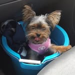 Denise Bosco - @rosez4me9 - Instagram