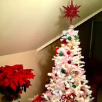 Denise Bostic - Facebook