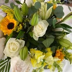 Denise Botta - Facebook