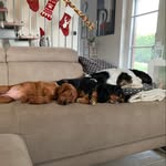 Denise Botta - @denise.botta74 - Instagram