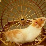 Denise Boucher - @denise.boucher.1650 - Instagram