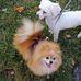 Denise Boucher - Facebook