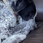 Denise Boudreau - @boudreau6495 - Instagram