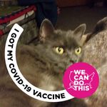 Denise Boudreau - @denise.boudreau.9440 - Instagram