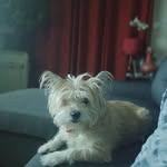 Denise Bouffard - @2012denisebouffard - Instagram