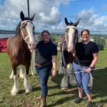 Denise Bourque - @dnicela - Instagram