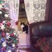 Denise Bourque - Facebook