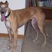 Denise Bowe Swenson - Facebook