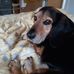 Denise Bowler - Facebook