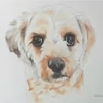 Denise McGowan Bowler - @mcgbowler10 - Instagram