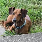 Denise Bowles - Facebook