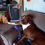 Denise Bowles - Facebook