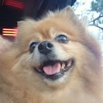 Denise Carraco Bowles - @dcbowles - Instagram