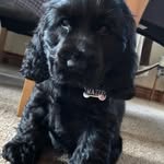 Denise Boyce - @deniseboyce40 - Instagram