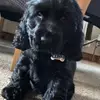 Denise Boyce - @denise.boyce0 - TikTok