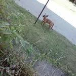 Andrea Dayton - @denise.boyd.184 - Instagram