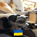 Denise Boyd - @denise.boyd.3958 - Instagram