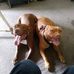 Denise Boyett - Facebook