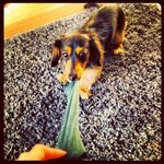 Denise Boylan - @boylan4297 - Instagram