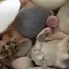 Denise Boyles - @denise.boyles - TikTok