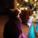 Denise Boynton Klefbohm - @deniseklefbohm - Instagram