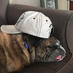 Denise Bozeman - @denise.buysman - Instagram