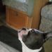 Denise Brabant - Facebook