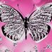 Denise Brack - Facebook