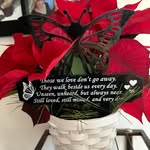 Denise Bracken - @brackendenise - Instagram