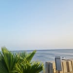 Denise_Bracken - @denise_bracken1 - Instagram