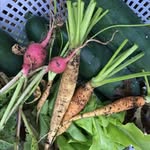 Denise & Mike Brackett - @the_garden_brackett - Instagram