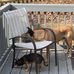 Denise Bernhardt Brackett - Facebook