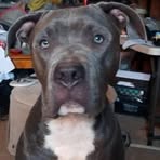 Denise Brogdon - Facebook